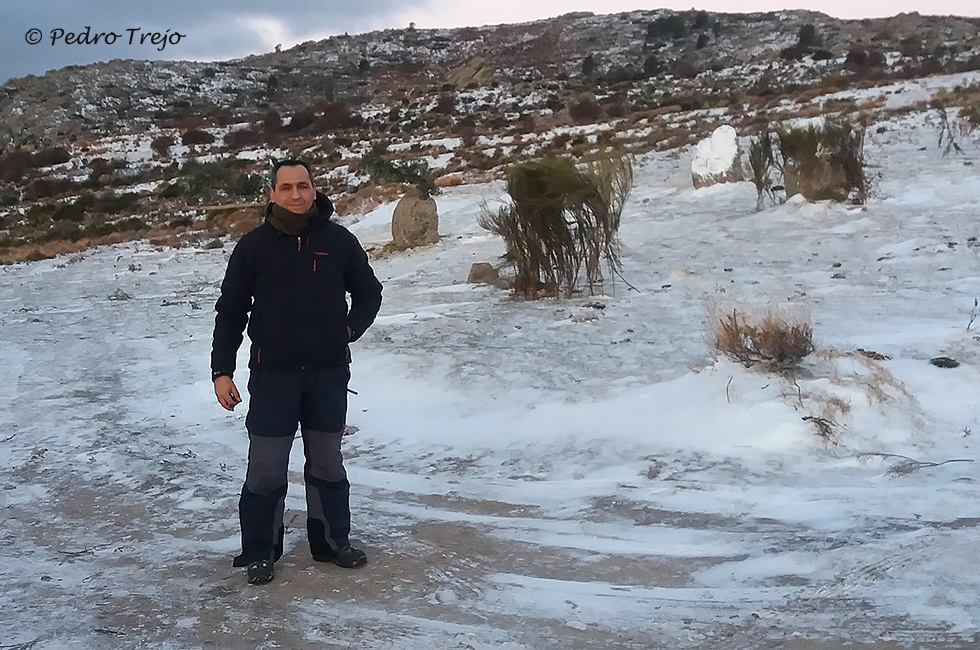 Fotografiando Aguila real en un dia nevado